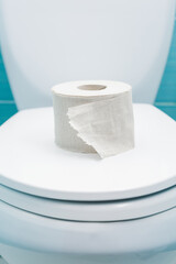 torn roll of toilet paper lies on closed lid of toilet bowl
