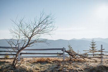 wooden rickety fence mountains landscape in early spring dry grass and blue sky