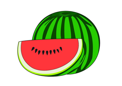 illustration of watermelon