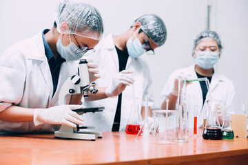 Researcher team work in laboratory using microscope and lab equipment