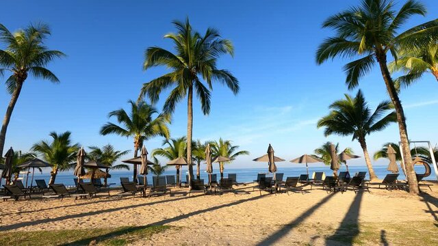 Tropical summer palm tree n beach chair on white sand with deep blue sea water n calm ocean wave in sunny clear blue sky background with airy cloud n cloudscape at island paradise, 4k b-roll TimeLapse