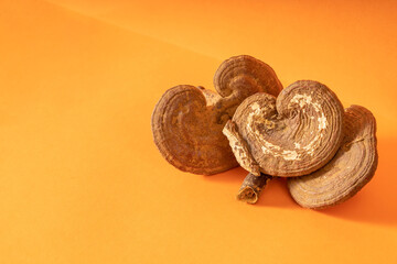 Multiple Chinese herbal medicines Ganoderma lucidum on solid background