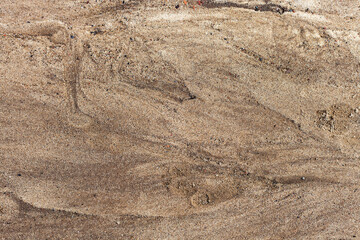 Sand after rain. Natural texture.