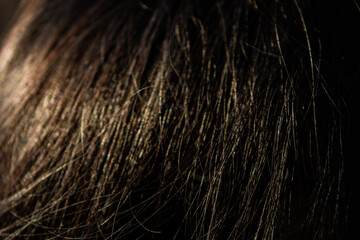 Dark hair macro background. Beuaty woman concept