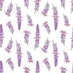 Seamless floral pattern with lupine flowers. Design or wallpaper, textile design, packing, textile, fabric. Salvia, lupin flowers