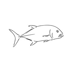 Vector illustration of tuna. Vector illustration can be used for creating logo and emblem for fishing clubs, prints, web and other crafts. tuna fish, vector sketch on white background