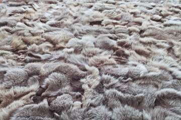 Background or texture image of fur. In perspective
