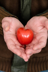 Heart shaped tomato in the palms of a married man. Close up