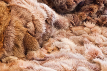 Background or texture image of fur. In perspective