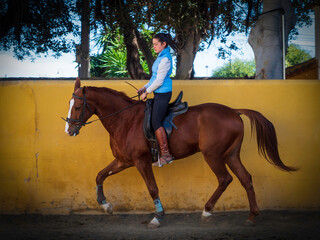 Joven amazona montando un caballo marrón el el picadero de la cuadra