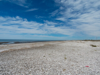 Playa solitaria con conchillas, agua clara y cielo nublado