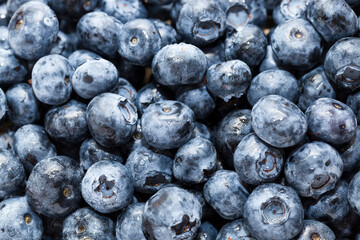 fresh blueberries can be eaten raw