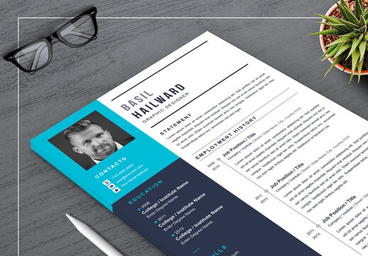 Professional Resume Layout