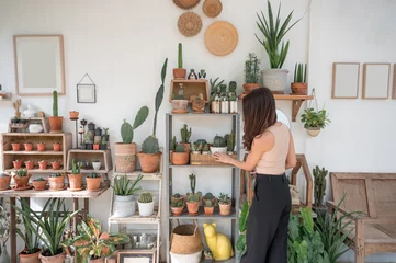 Photo sur Plexiglas Cactus Asian woman touching cactus plant on wooden shelf simplicity decoration in greenhouse at tree shop