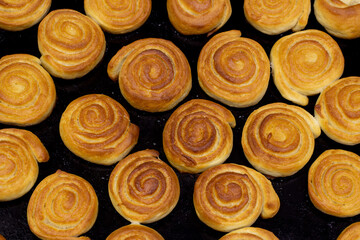 baking sweet buns in the oven close-up. the top view