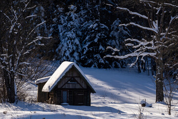deep snow, where you can see some trees and an old abandoned wooden building