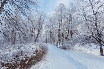 Scenic road with small bridge between the trees covered with snow on Yelagin Island in Saint Petersburg, Russia.