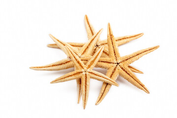 Fototapeta na wymiar Starfish isolated on white background