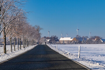 Fototapeta premium Windrad