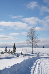  road in the middle of the field that is covered with snow