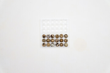 Quail eggs in a plastic packaging, plastic envelop to protect the eggs, on beige color background. Farmers market eggs