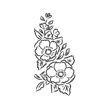 Vector peony flower isolated on white background. Element for design. Hand-drawn contour lines and strokes. flowers decor, vector sketch on white background