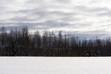 White snowy Latvian landscape in winter where you can see a large field