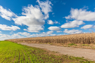 Obraz premium Canada, Nova Scotia, Annapolis Valley, Wolfville. Agricultural field in autumn.
