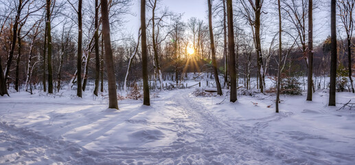 Panorama schneebedeckte Waldwege im Klosterforst Loccum und die Lucca-Burg im Hintergrund in der Abendsonne im Februar 2021
