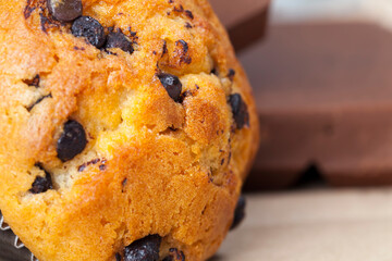 small chocolate cupcake on the table
