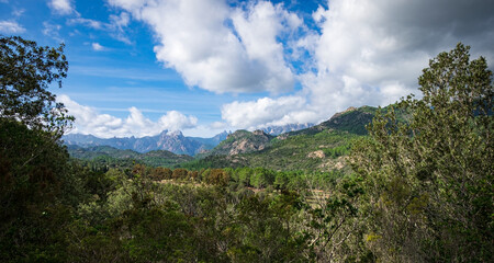 Fototapeta na wymiar Beautiful view to a valley and the mountains of Bavella, Corse, France