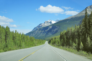 Road from Banff to Columbia Icefield. Banff National Park.