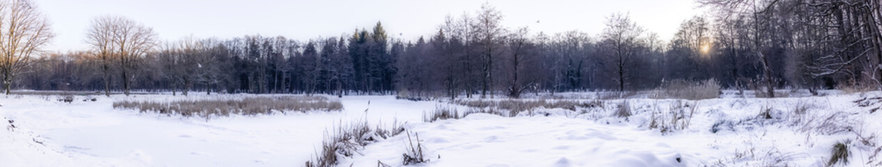 Panorama zugefrorene schneebedeckte Teichlandschaft im Klosterforst Loccum in der Abendsonne im Februar 2021