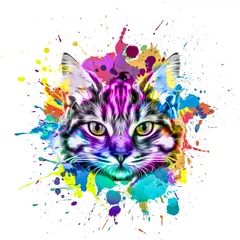 Fototapeten cat head with creative abstract elements on colorful background © reznik_val