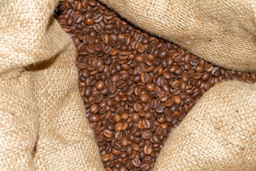 Roasted coffee beans of the Robusta variety inside the cloth bag.