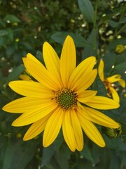 La naturaleza hermosa