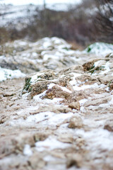path to the top of the Crimean mountain.