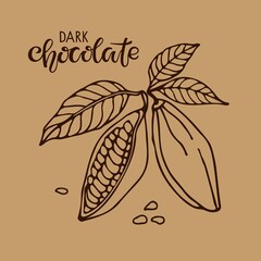 Vector handwritten Dark Chocolate text and Cacao beans with leaves sketch on brown background. Doodle Outline illustration for cafe, shop, menu. Organic food sketch. For label, logo, emblem, symbol.
