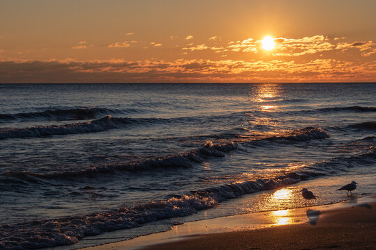 reflection of the sun on the lake and beach. seagull standing on the shoreline of the beach at dawn. sunrise over the lake. crashing waves under the orange and yellow sky while the sun is rising