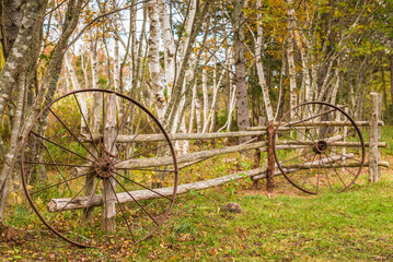 Canada, Prince Edward Island, Orwell. Wagon wheel and birch trees.