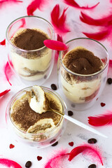 Dessert tiramisu in double-bottomed glasses on a white background among red feathers
