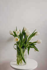 White tulips in a glass vase on a white table.