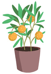 Cute tangerine tree in a pot. Hand drawn vector illustration. Colorful cartoon clipart isolated on white background. Single doodle element for design, print, decoration, postcard, sticker, wrap, logo.