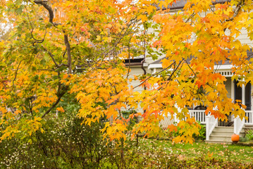 Canada, Prince Edward Island, Victoria autumn foliage.