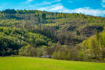 green meadow in front of a mountain covered with forest. Spring season.