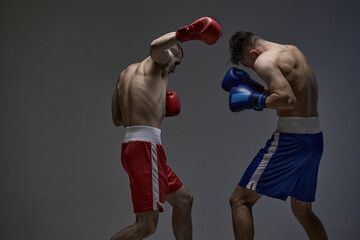 Wrestling of two fighting males during boxing battle on gray studio backdrop, martial arts, mixed fight concept