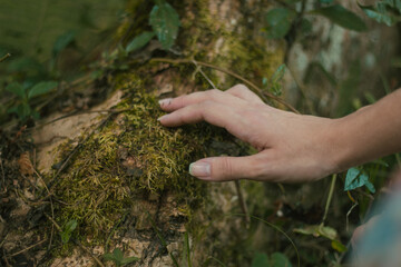 hand with moss on the ground