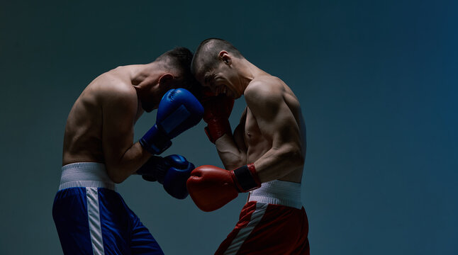 Sparring of two boxers fighting males in blue light in studio, martial arts, mixed fight concept