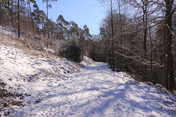 Sonniger Wintertag mit viel Schnee  im Wald der Stadt Menden im Sauerland