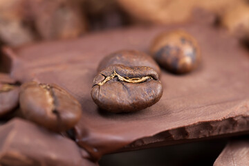 cocoa food, photo with ingredients